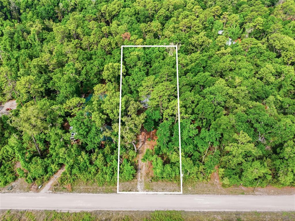 An aerial view shows a rectangular lot outlined in white, containing a house amidst trees — 264 SW CENTRAL TERRACE, FORT WHITE, FL