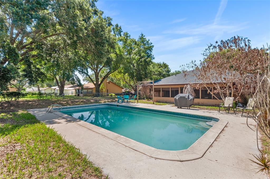A rectangular swimming pool sits in a backyard with mature trees and a covered patio — 905 VAN DRIVE, AUBURNDALE, FL