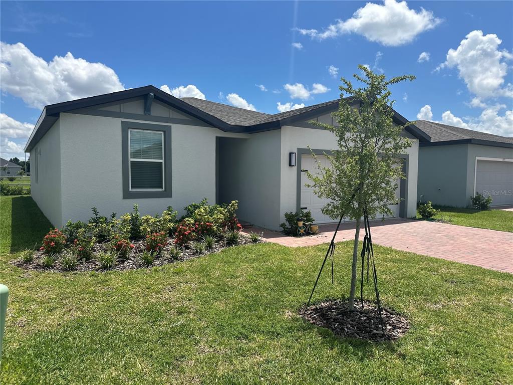 A single-story house with a paved driveway, a small tree, and a landscaped front garden — 3777 GIORGIO DRIVE, WINTER HAVEN, FL