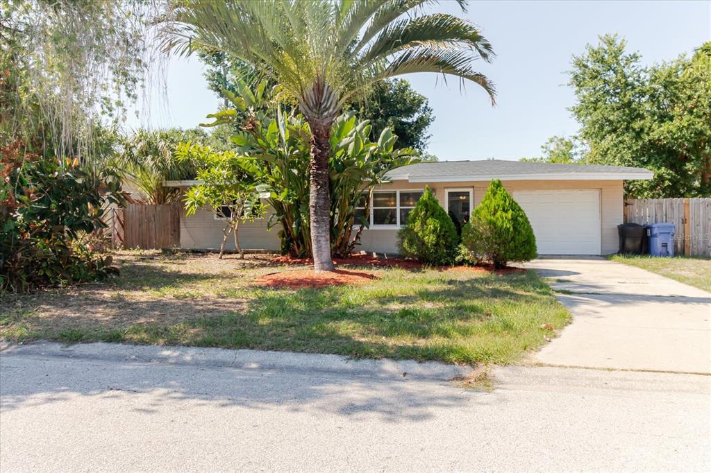 The exterior of a single-story house features a concrete driveway, a garage, and landscaping — 3597 27TH AVENUE S, ST PETERSBURG, FL