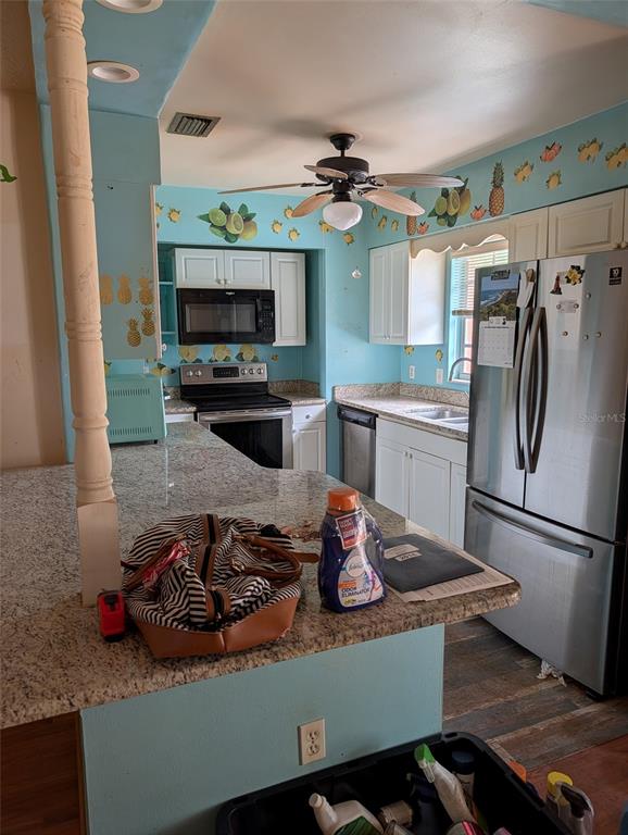 A kitchen features light blue walls with fruit stencils, granite countertops, and stainless steel appliances — 604 HAMLIN STREET, NOKOMIS, FL