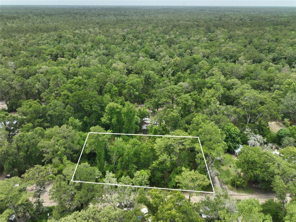 An aerial view shows a rectangular plot of land outlined in white amidst dense forest — 0 SW 83 COURT, TRENTON, FL