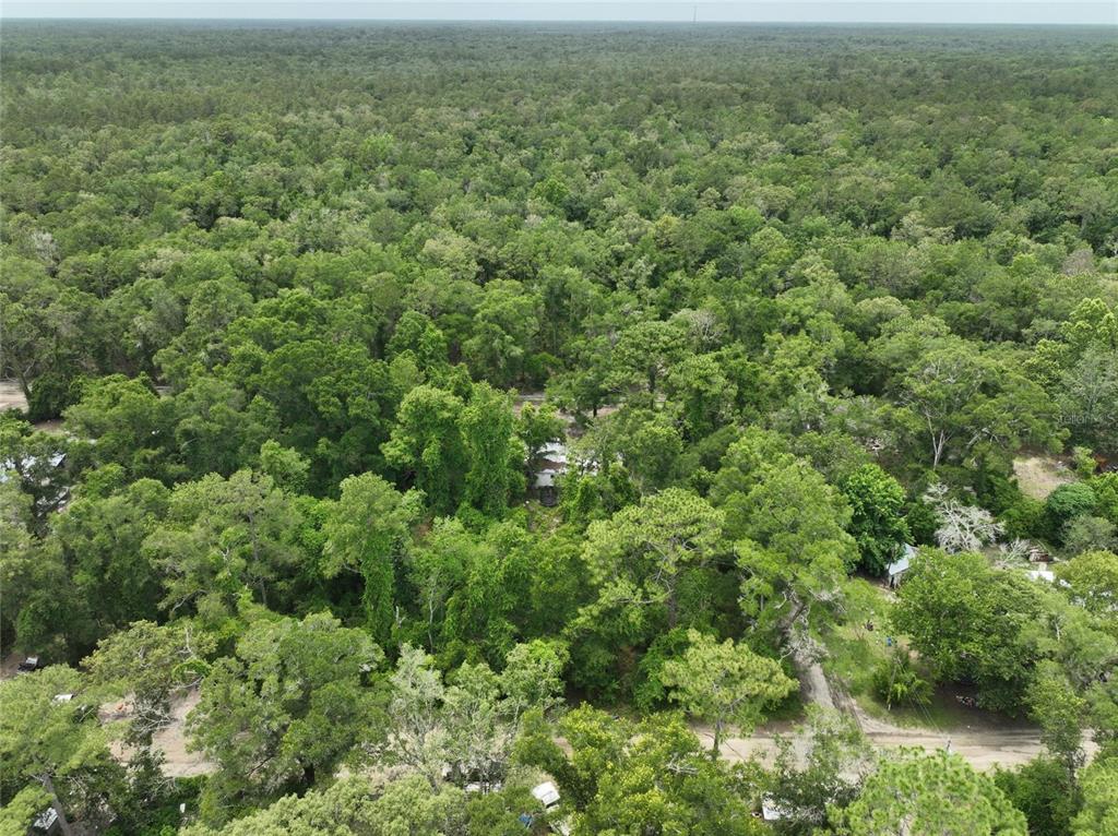 An aerial view shows a house nestled within a dense, wooded forest area — 0 SW 83 COURT, TRENTON, FL