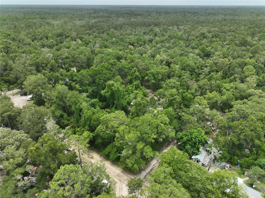 An aerial view shows a dirt road winding through a dense, wooded residential area — 0 SW 83 COURT, TRENTON, FL