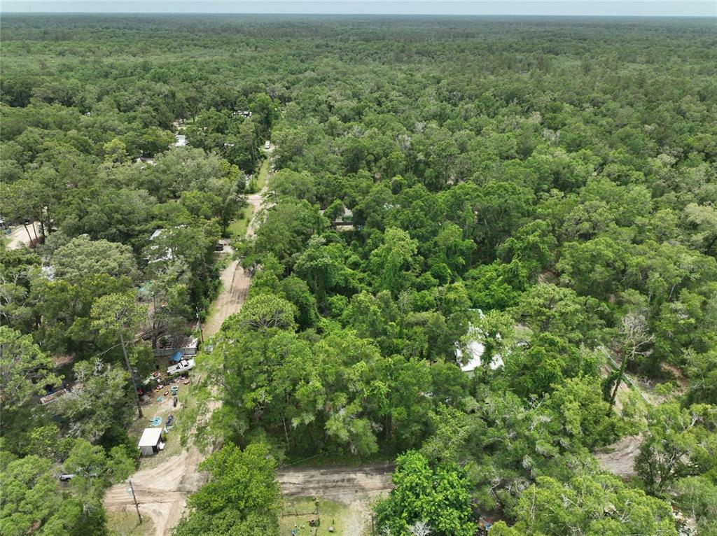 An aerial view shows a dirt road winding through a dense, wooded residential area — 0 SW 83 COURT, TRENTON, FL