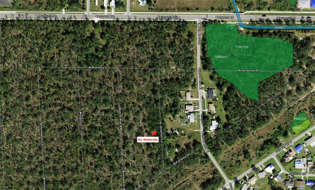 This is a map showing a land parcel with designated wetland areas and a red marker — 245 SAWFISH LANE, PUNTA GORDA, FL