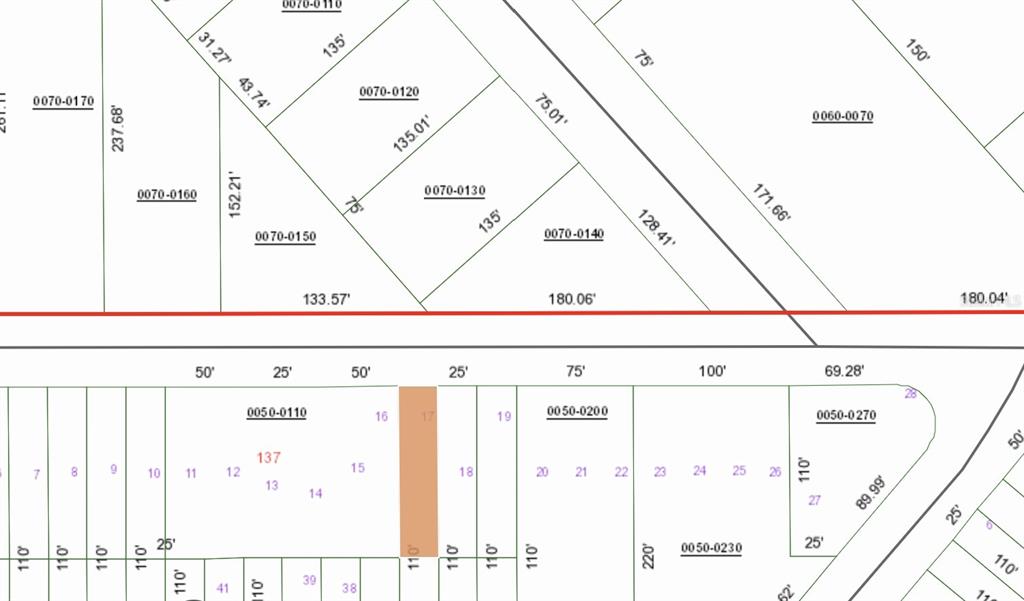 This image is a tax map showing property lot lines, dimensions, and parcel identification numbers — 00 FLAMINGO BOULEVARD, INTERLACHEN, FL