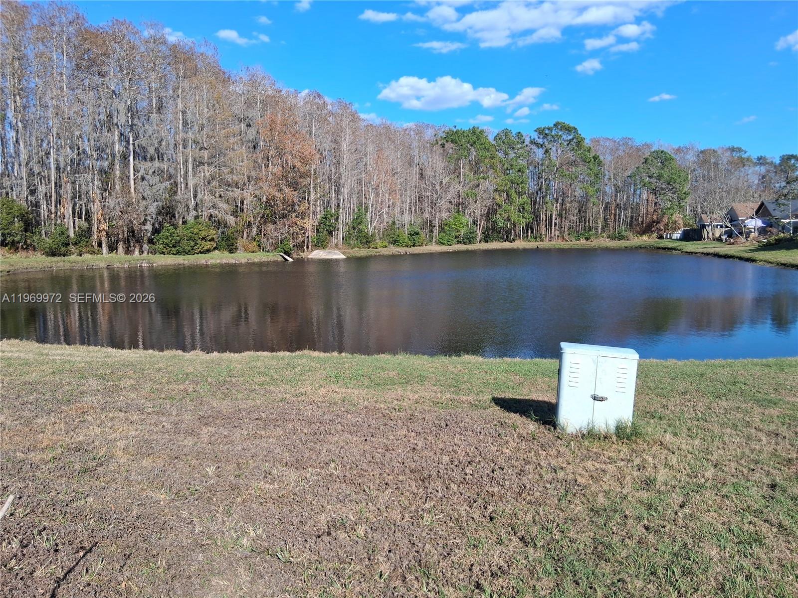 A grassy yard overlooks a pond bordered by a dense line of trees — OTHER CITY - IN THE STATE OF FLORIDA, FL