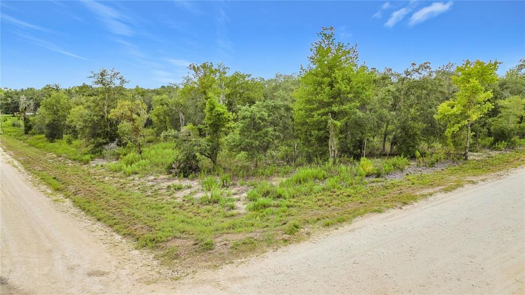 0 SE 68TH TERRACE, MORRISTON, FL — photo 5 of 12