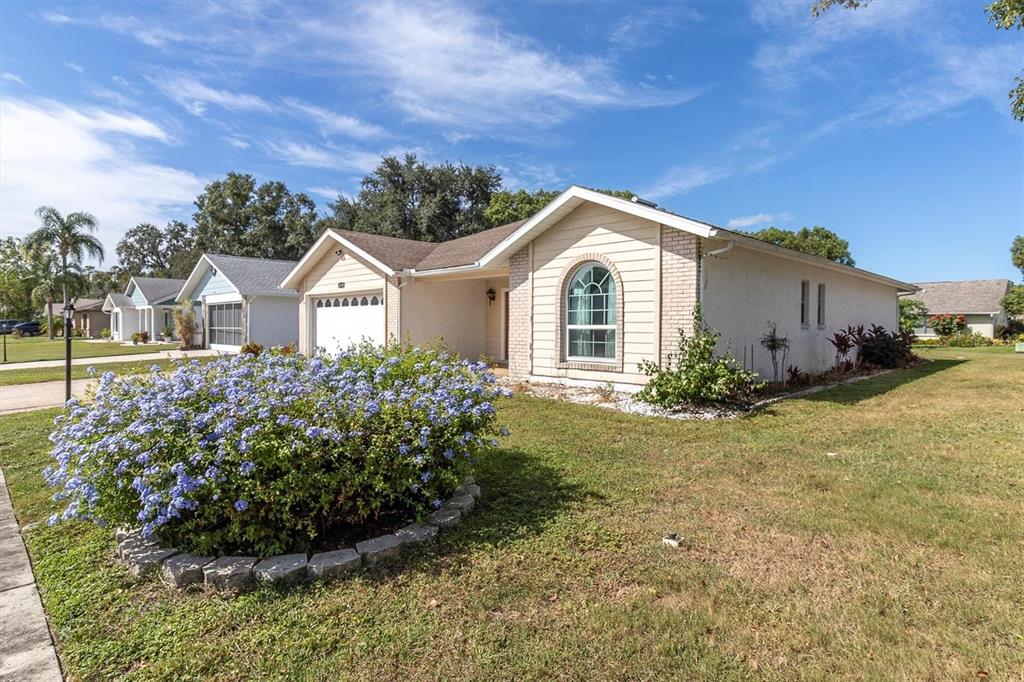 A single-story house with a beige exterior, arched window, and a large blue flowering bush — 4719 CAVENDISH DRIVE, NEW PORT RICHEY, FL