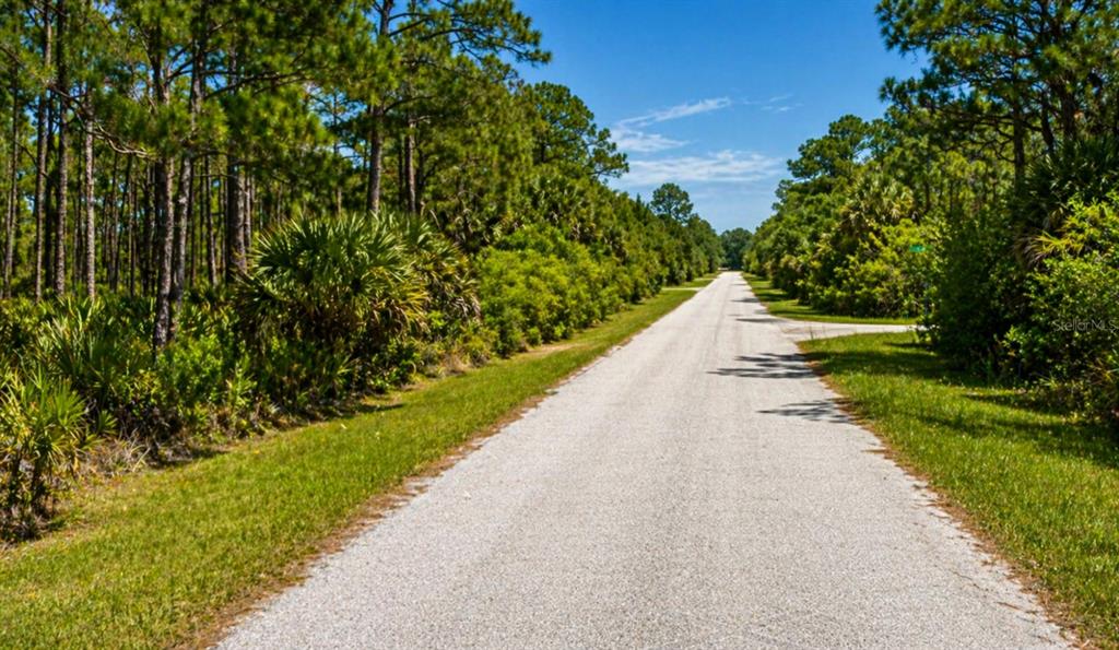 A paved road stretches through a wooded area with dense green trees and shrubs — 157 HAMDEN STREET, PORT CHARLOTTE, FL