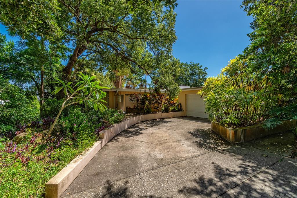 A concrete driveway leads to a single-car garage surrounded by lush trees and landscaping — 2425 LAKE SUE DRIVE, ORLANDO, FL