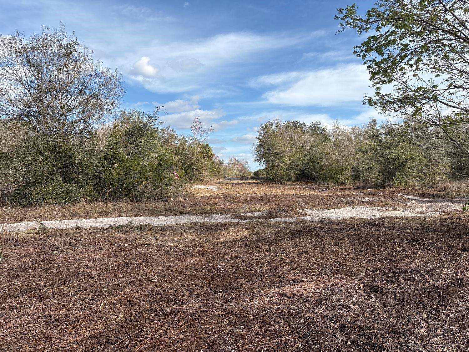 A cleared, sandy lot with surrounding trees under a blue sky with scattered clouds — 0 NW 296th Street, Okeechobee FL 34972, OKEECHOBEE, FL