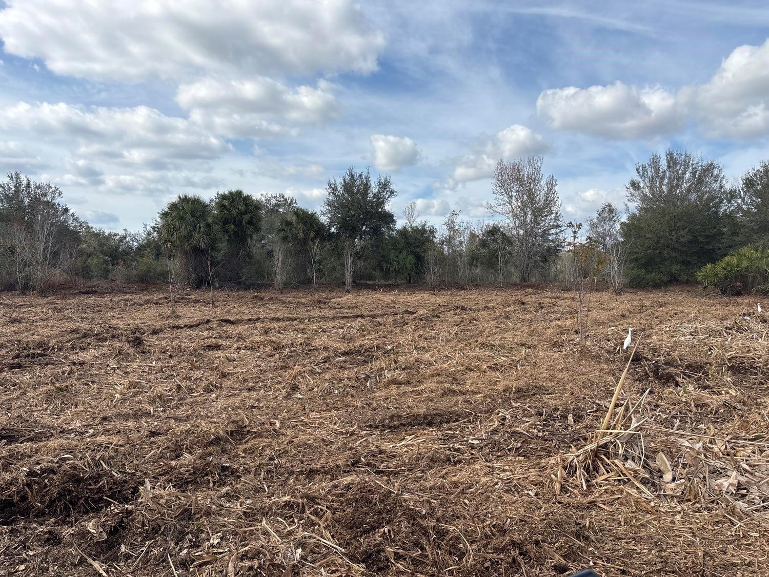 A cleared, mulched field sits in front of a line of trees under a cloudy sky — 0 NW 296th Street, Okeechobee FL 34972, OKEECHOBEE, FL