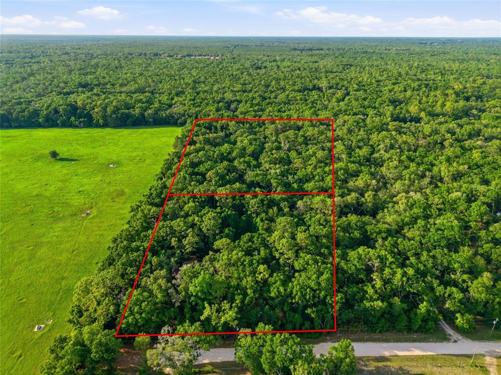 An aerial view shows a wooded lot outlined in red next to a green pasture — 9291 NW 127TH PLACE, CHIEFLAND, FL