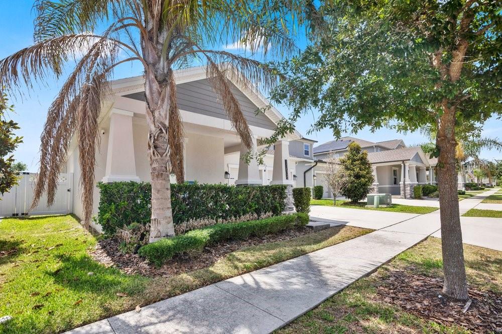A single-story house with a palm tree, a front porch, and a concrete sidewalk — 11036 ROBERT FROST DRIVE, WINTER GARDEN, FL