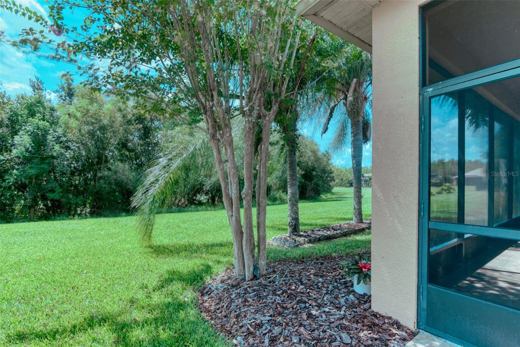 A view of a grassy backyard with trees and a screened-in porch exterior — 280 INDIAN WELLS AVENUE, KISSIMMEE, FL