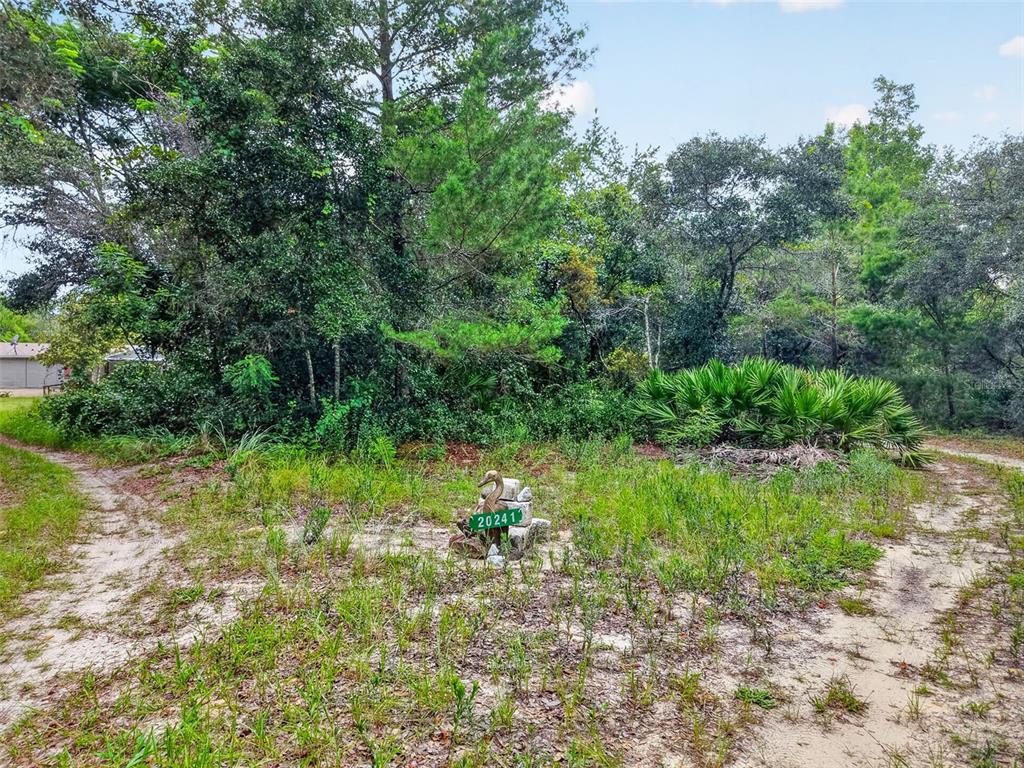 A dirt path leads to a small address marker set in a grassy, wooded lot — 20241 SALTSDALE ROAD, UMATILLA, FL