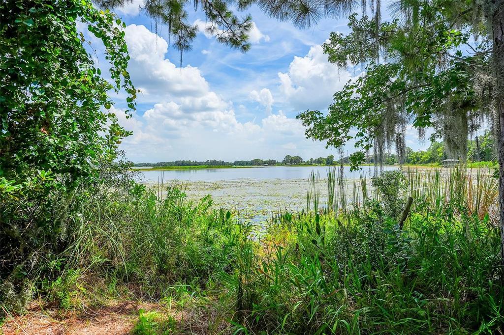 A view of a lake framed by trees and tall grasses under a cloudy sky — 10112 STATE ROAD 33, GROVELAND, FL