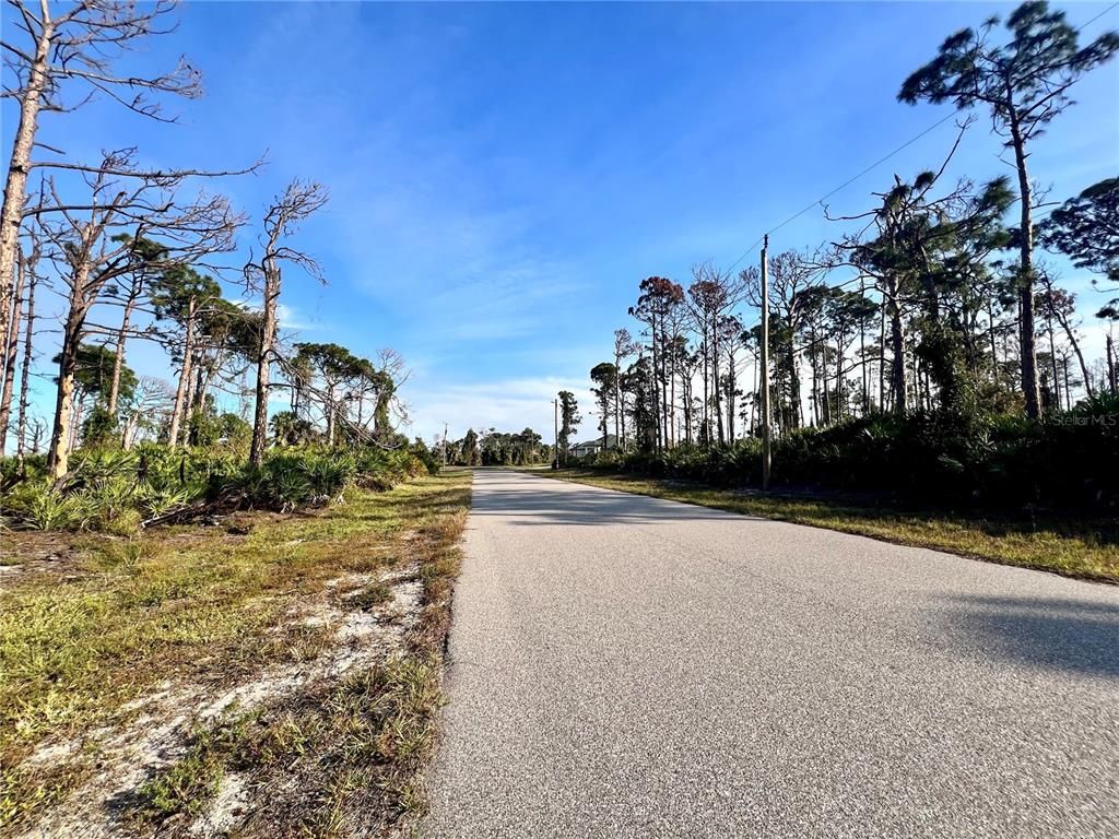A paved road stretches through a wooded area with pine trees and low-lying vegetation — 6 ADRIFT COURT, PLACIDA, FL