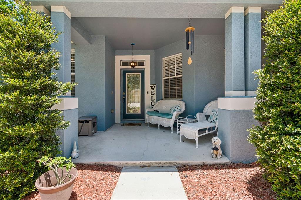 A covered front porch features blue walls, white wicker furniture, and a glass-paneled front door — 11318 BRIDGE PINE DRIVE, RIVERVIEW, FL