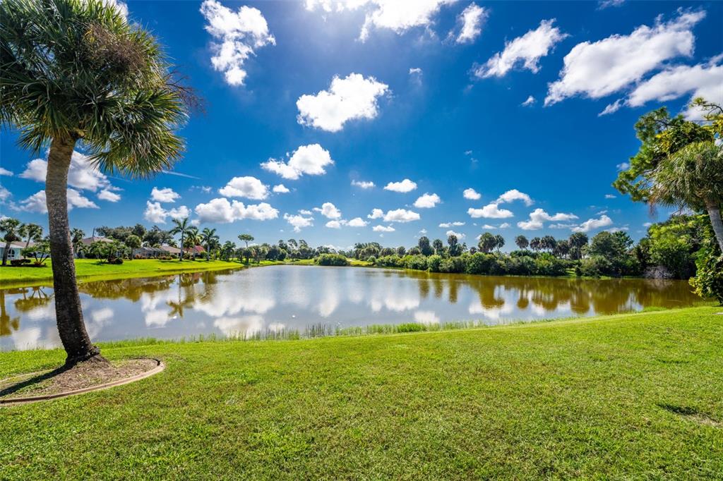 A grassy lawn leads to a pond surrounded by palm trees under a blue sky — 8 SPORTSMAN ROAD, ROTONDA WEST, FL