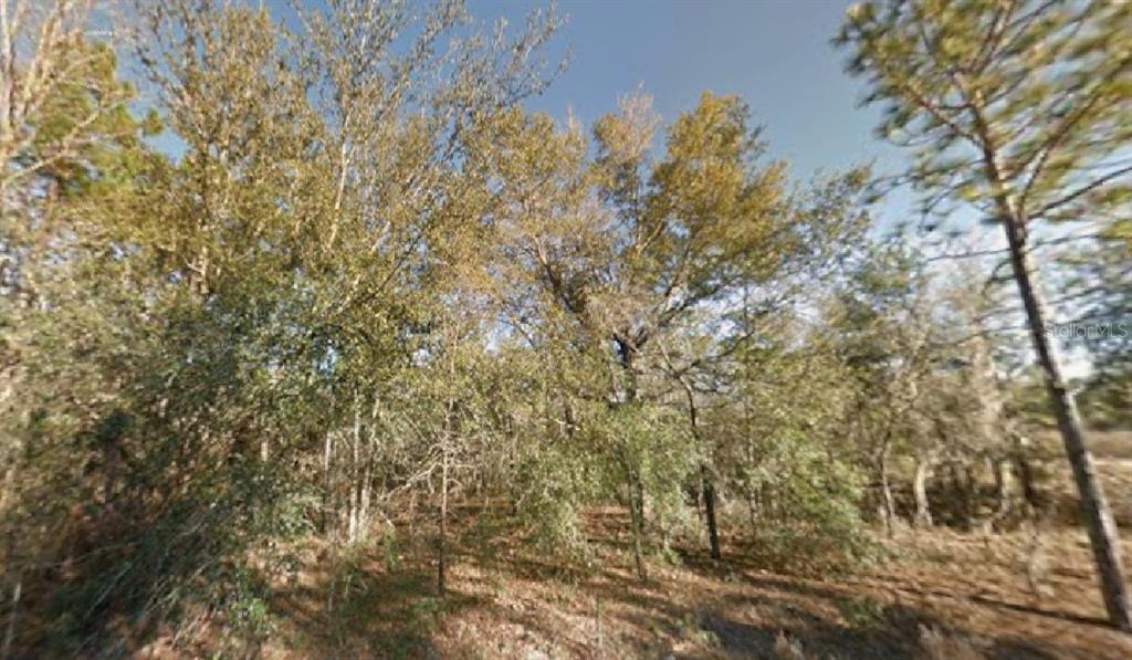 NE 154TH AVENUE
