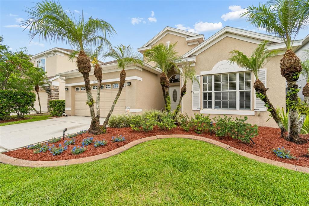 A single-story suburban house with a tan stucco exterior, palm trees, and a landscaped yard — 3553 MORGANS BLUFF COURT, LAND O LAKES, FL