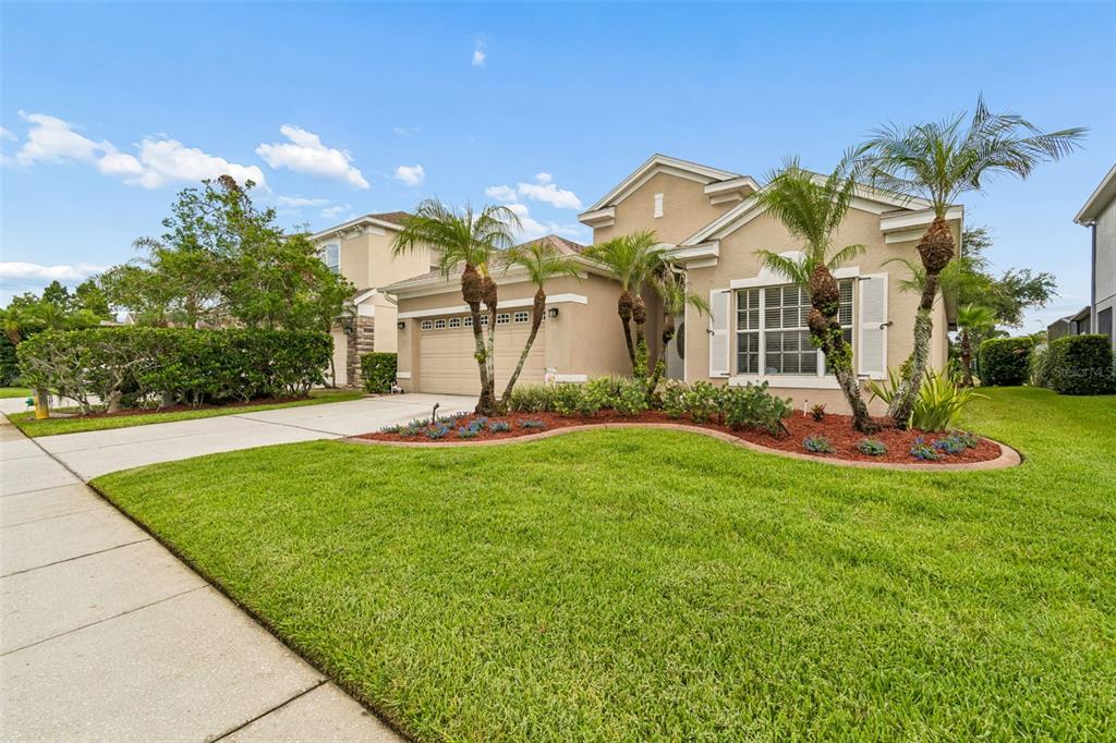 A beige single-story house with a two-car garage, palm trees, and a landscaped front yard — 3553 MORGANS BLUFF COURT, LAND O LAKES, FL