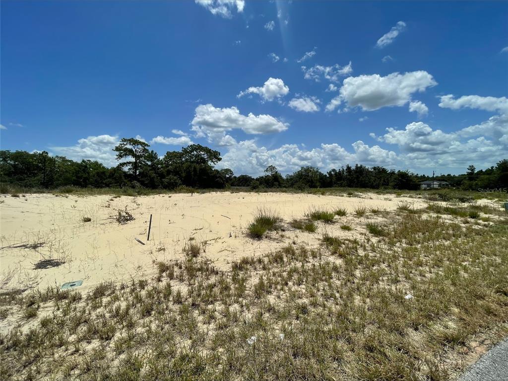 A vacant, sandy lot with sparse vegetation under a bright blue sky with clouds — 1344 HOMOSASSA COURT, POINCIANA, FL