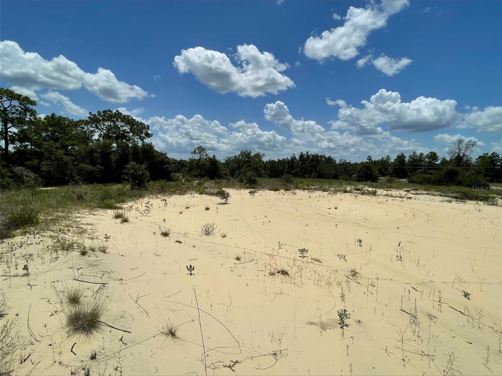 A large, sandy, undeveloped lot with sparse vegetation under a bright blue sky — 1344 HOMOSASSA COURT, POINCIANA, FL