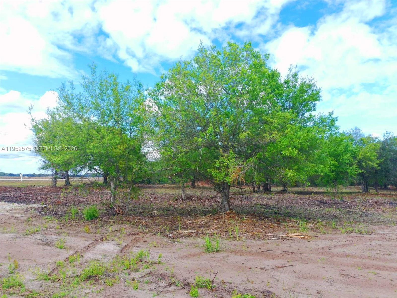 A view of a grassy, partially cleared lot with several mature trees under a cloudy sky — 103 Hunting Club AVE, Clewiston FL 33440, CLEWISTON, FL