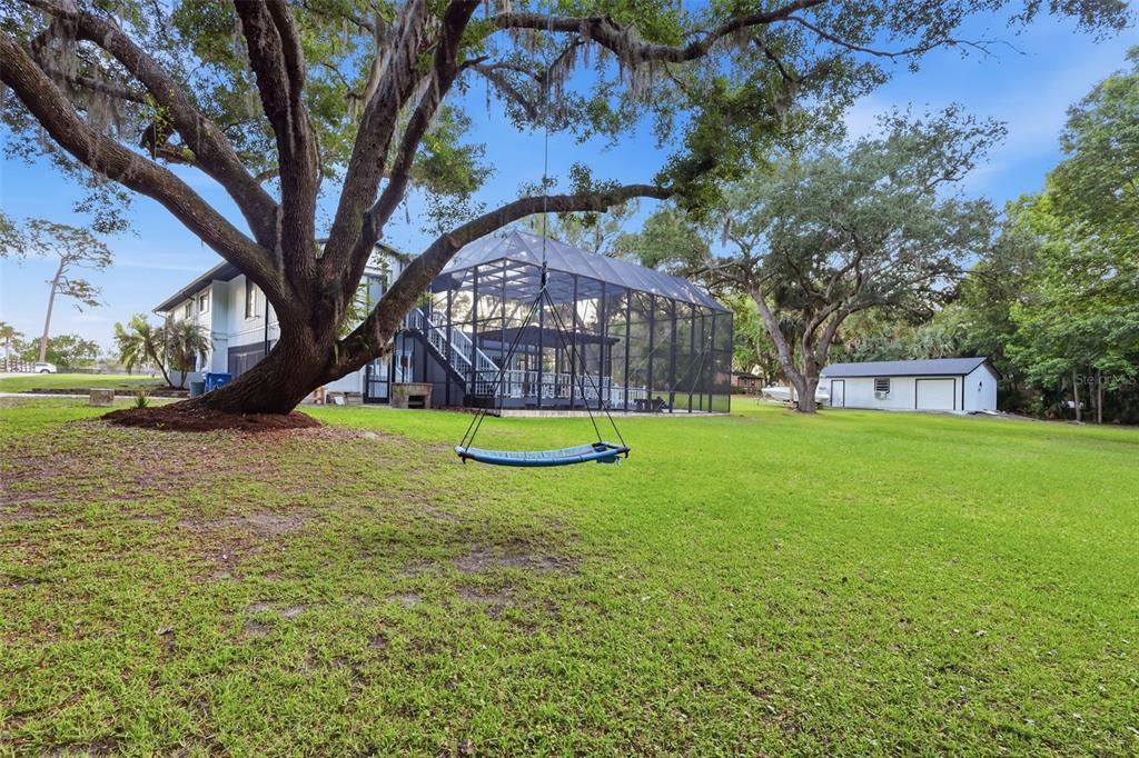 A large backyard features a blue swing hanging from a tree near a screened-in pool — 155 E COUNTRY CIRCLE DRIVE E, PORT ORANGE, FL