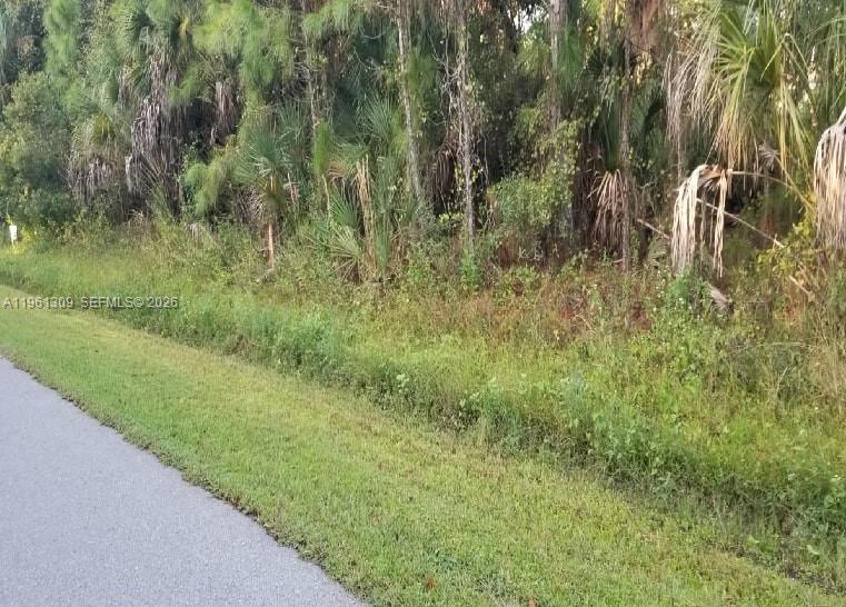 A paved road runs alongside a grassy verge bordering a dense, wooded area — 0 Cloras St, North Port FL 34287, NORTH PORT, FL