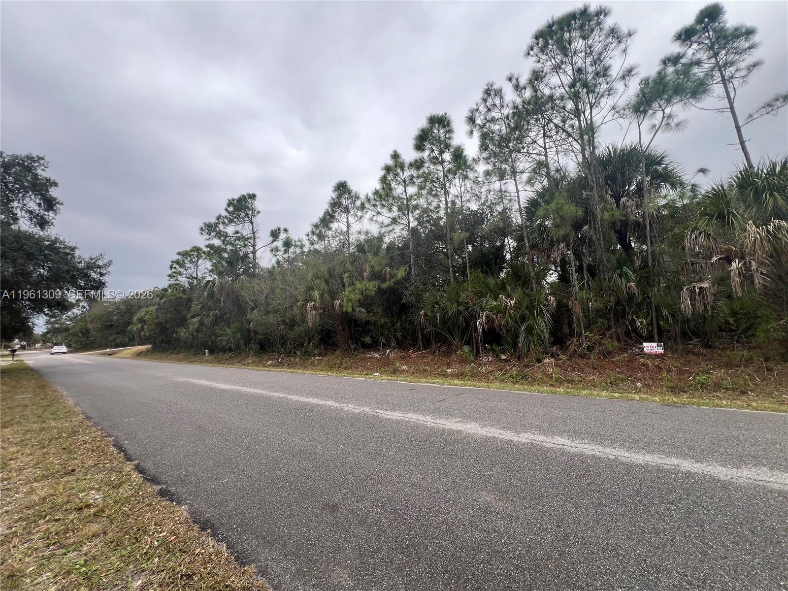 A paved road runs alongside a wooded lot with a for sale sign — 0 Cloras St, North Port FL 34287, NORTH PORT, FL