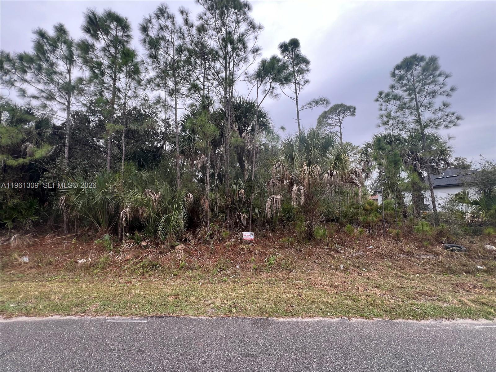 A vacant, wooded lot with a for-sale sign sits beside a paved road — 0 Cloras St, North Port FL 34287, NORTH PORT, FL
