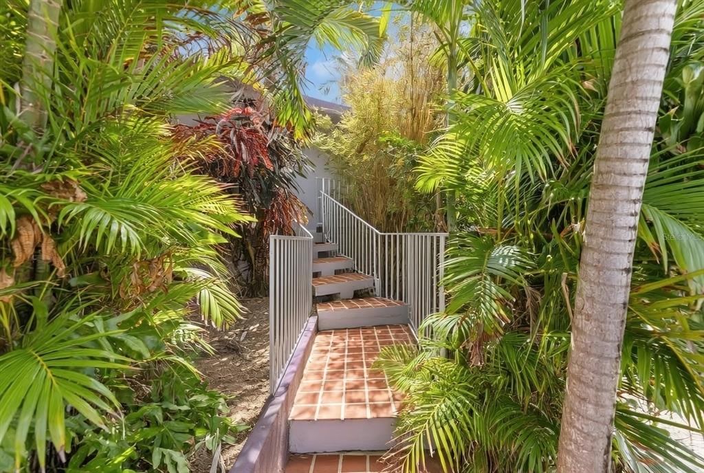 A view of a tropical landscape with palm trees and the ocean through open windows — 3-B CALLE KENNEDY, DORADO, PR