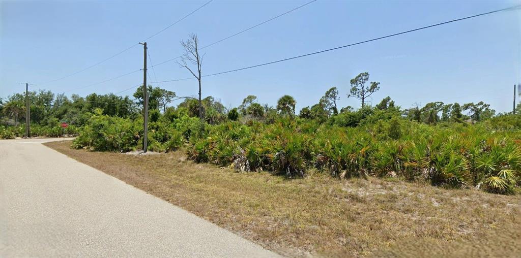 A paved road runs alongside a vacant, overgrown lot filled with palmettos and trees — 4 HAUL COURT, PLACIDA, FL