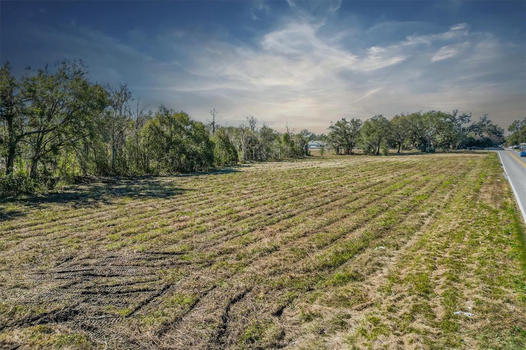 A wide, grassy vacant lot sits adjacent to a paved road under a cloudy sky — 7835 KATHLEEN ROAD, LAKELAND, FL