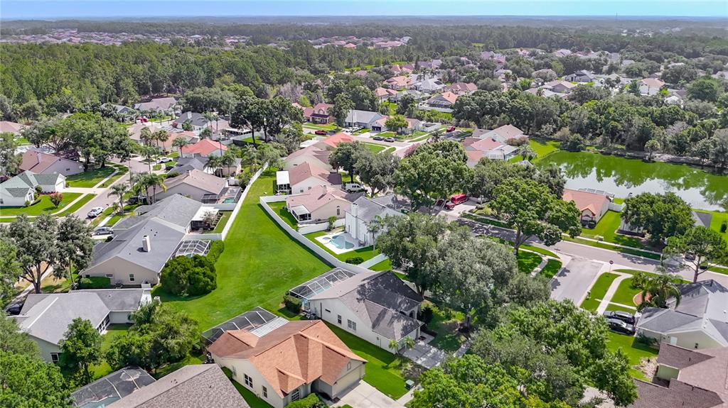 An aerial view of a suburban neighborhood featuring single-family homes, green lawns, and a pond — 9718 PLEASANT RUN WAY, TAMPA, FL