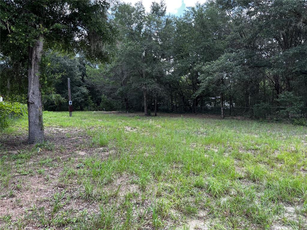 A grassy, vacant lot features a large tree and a utility pole near dense woods — 1018 KITTY AVENUE, INTERLACHEN, FL