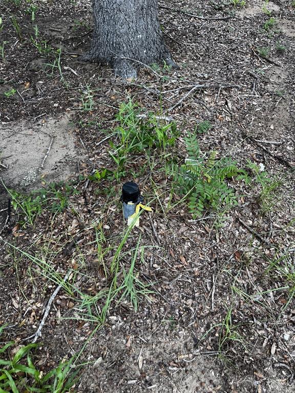 A survey marker with a black cap and yellow ribbon sits in the ground near a tree — 1018 KITTY AVENUE, INTERLACHEN, FL
