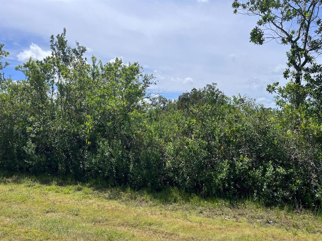 A grassy field borders a dense line of trees and shrubs under a cloudy sky — 13 INDIAN LAKE DRIVE, INDIAN LAKE ESTATES, FL