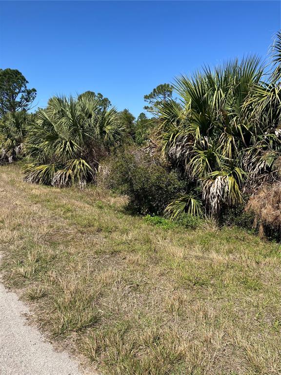 BIGNAY ROAD, NORTH PORT, FL — photo 2 of 10