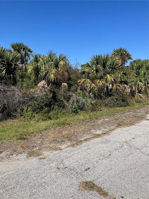 BIGNAY ROAD, NORTH PORT, FL — photo 3 of 10