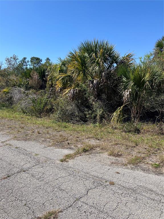 BIGNAY ROAD, NORTH PORT, FL — photo 5 of 10
