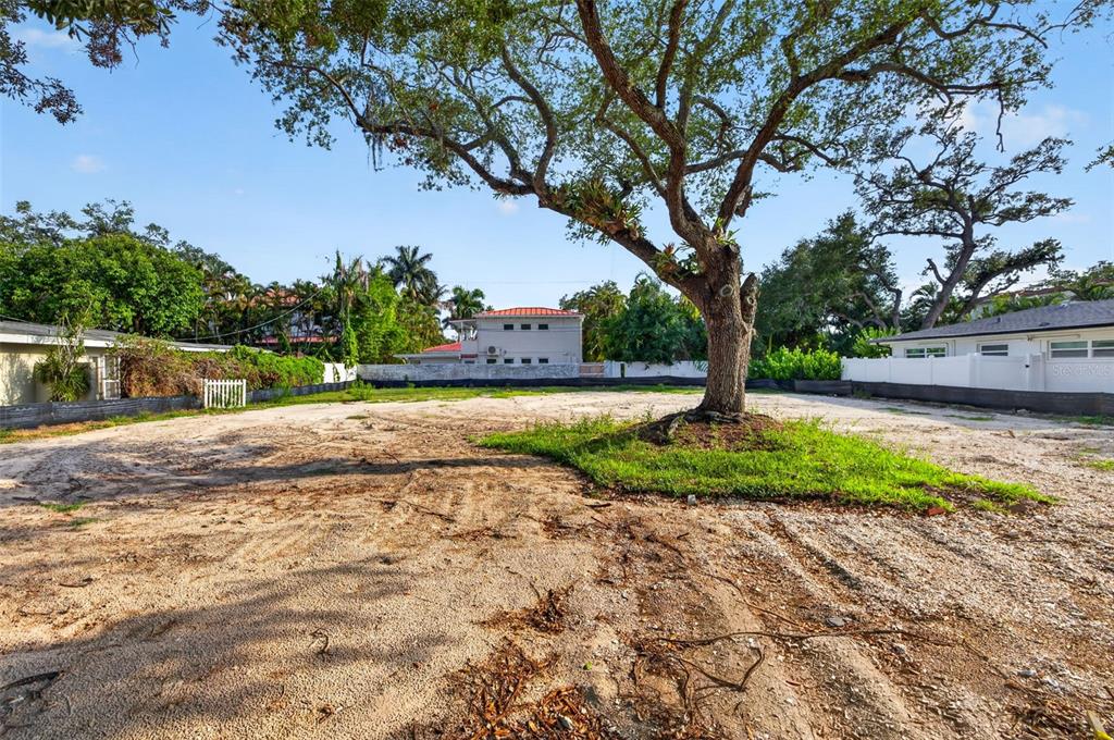 A vacant, cleared residential lot features a large tree and a concrete driveway entrance — 289 RAFAEL BOULEVARD NE, ST PETERSBURG, FL