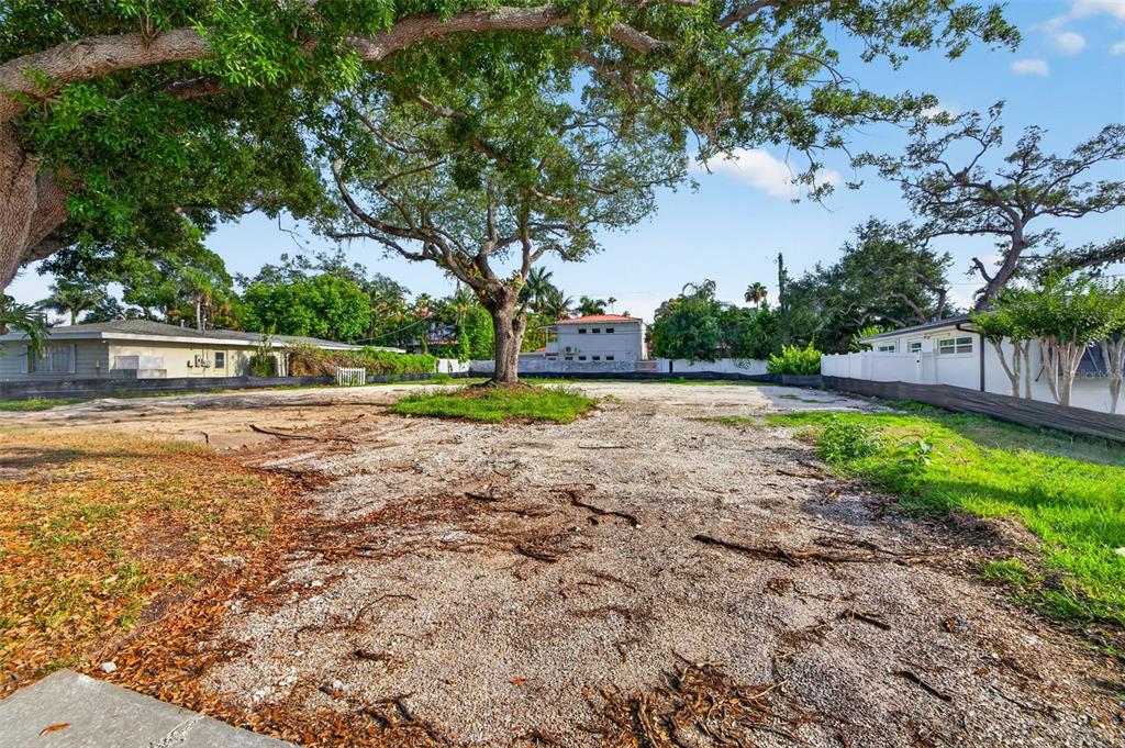 A large, cleared residential lot features a prominent mature tree in the center — 289 RAFAEL BOULEVARD NE, ST PETERSBURG, FL