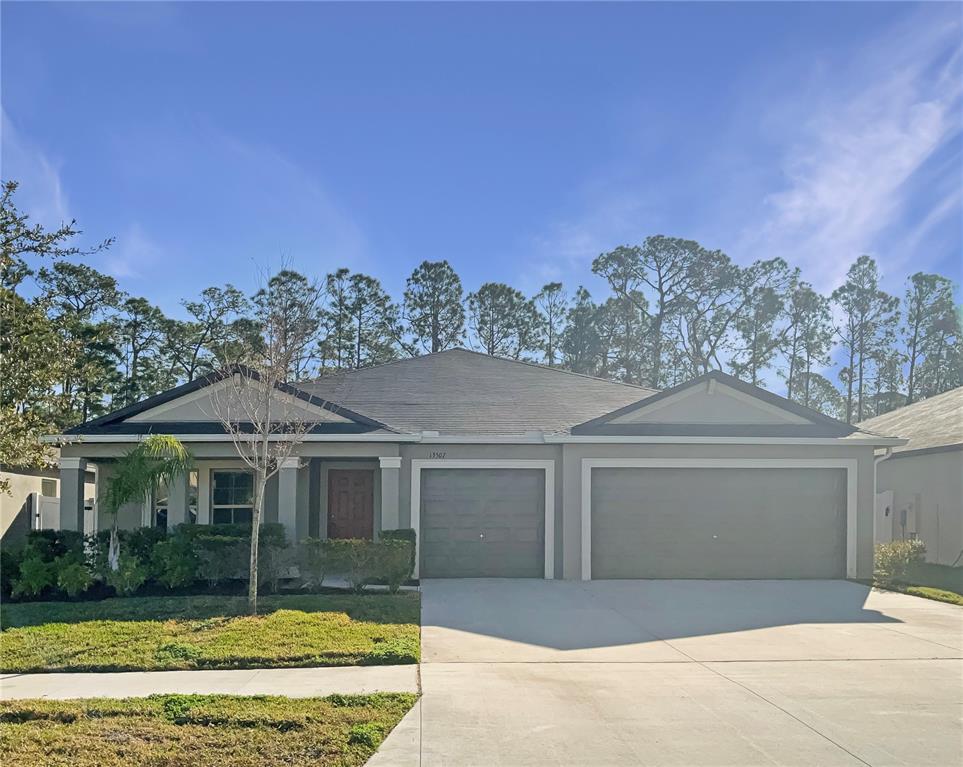 13507 WILLOW BLUESTAR LOOP