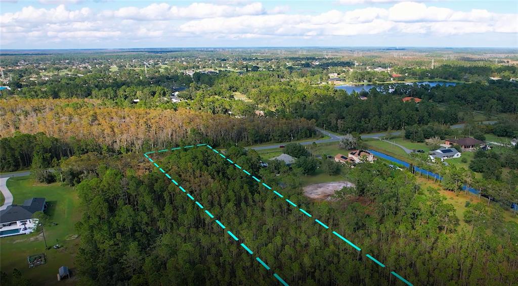 An aerial view shows a wooded, rectangular plot of land outlined in blue dashed lines — Lot 321 OBERLY PARKWAY, ORLANDO, FL